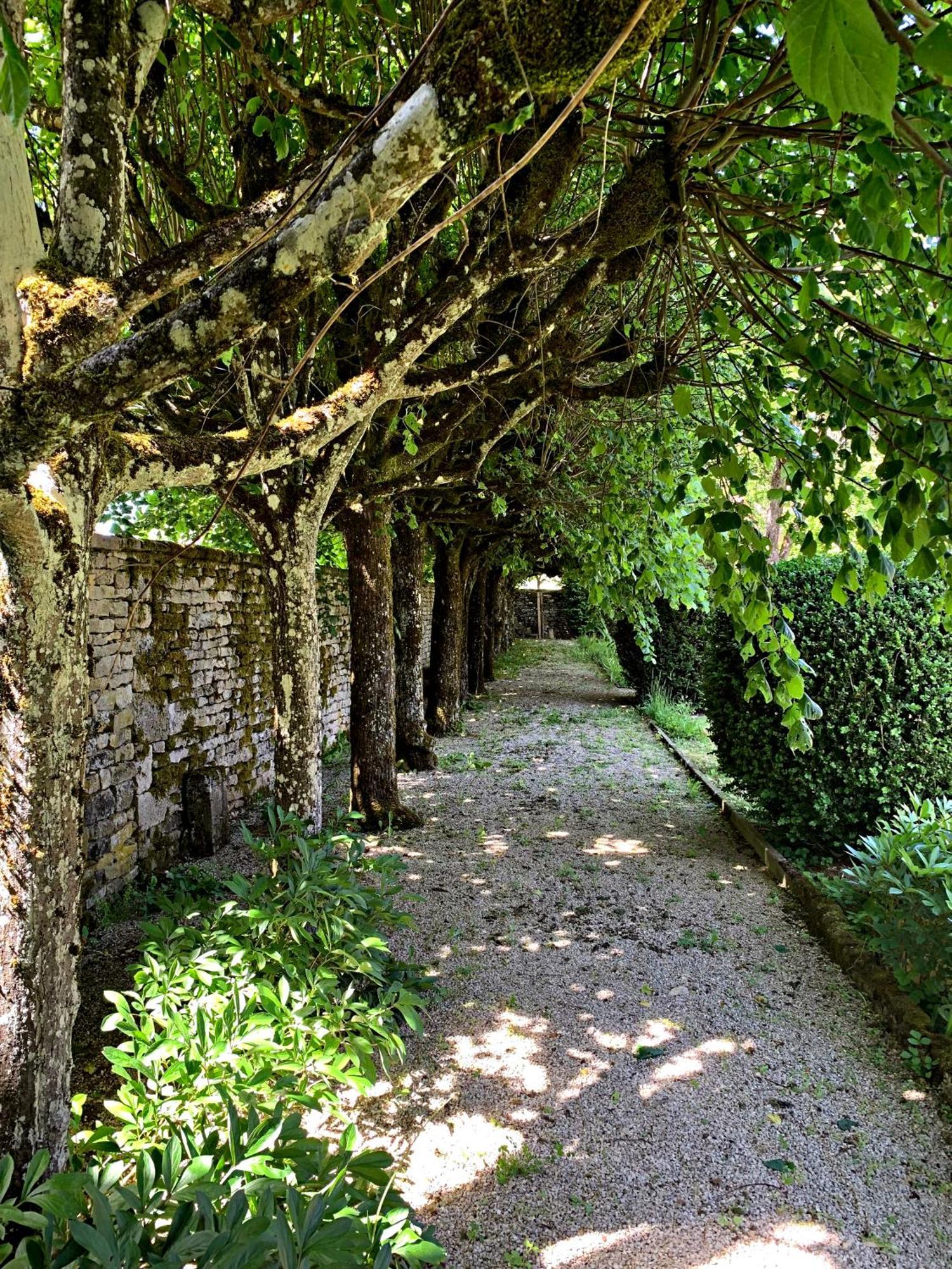 Le Clos Du Marronnier Rivieres-les-Fosses Exterior foto